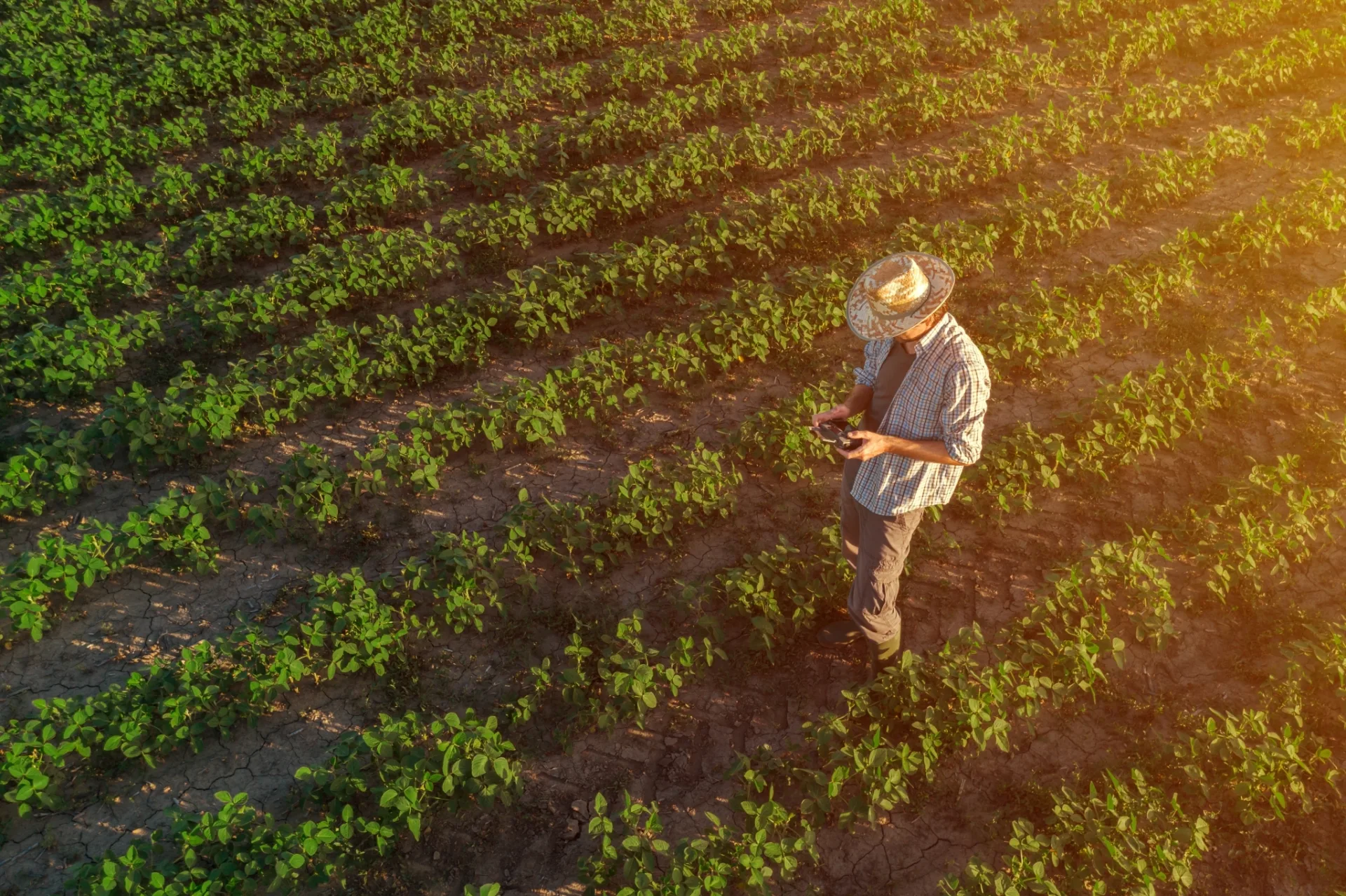 Farmer in field with drone
