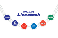 Datamars Logo 3x
